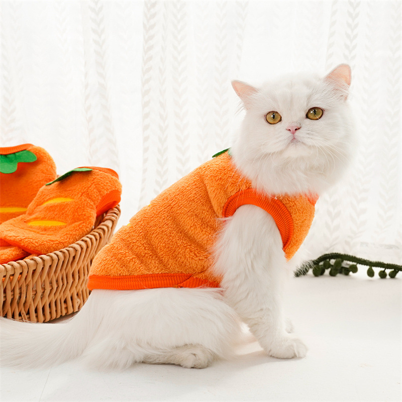 Haustierkleidung Winter Warme  – Winter Clothing For Toddlers Bewertung und Preis