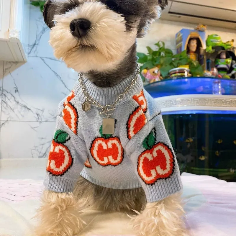 Brief Pullover Haustier Hund K – Winter Clothing For Toddlers Bewertung und Preis