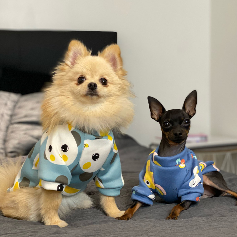 Xs Hundekleidung für kleine Hu – Winter Clothing For Toddlers Bewertung und Preis