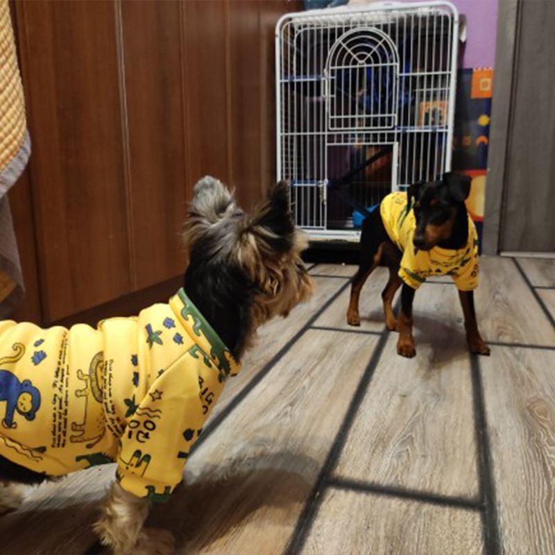 Xs Hundekleidung für kleine Hu – Winter Clothing For Toddlers Bewertung und Preis