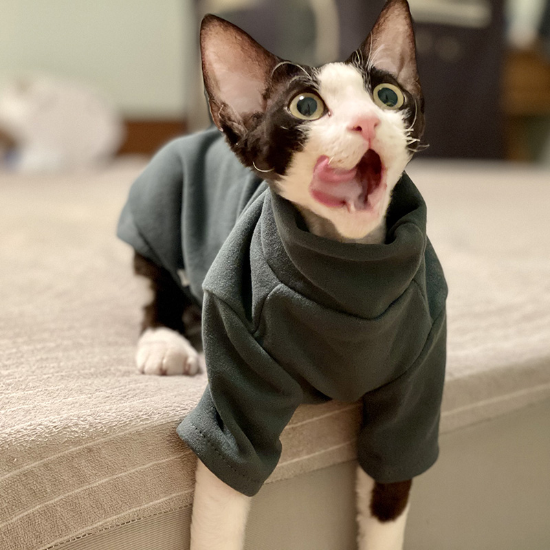 Sphynx Katzenkleidung für Baby – Winter Clothing For Toddlers Bewertung und Preis