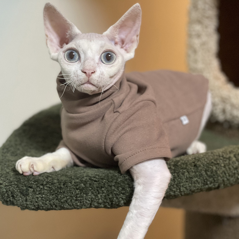 Sphynx Katzenkleidung für Baby – Winter Clothing For Toddlers Bewertung und Preis